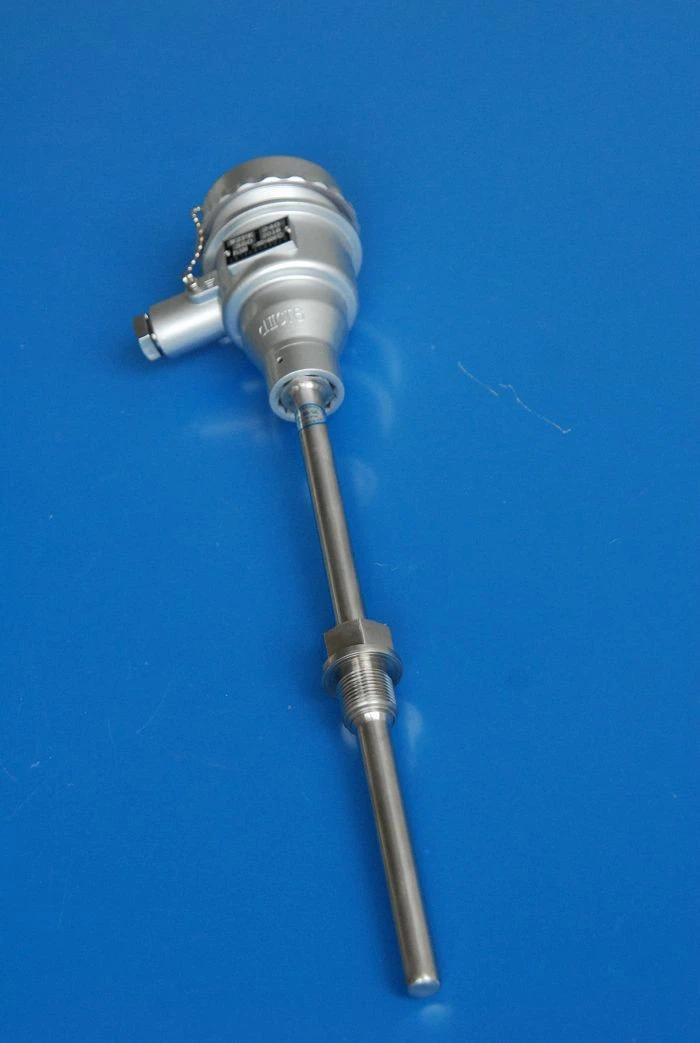 Explosion-proof RTD best